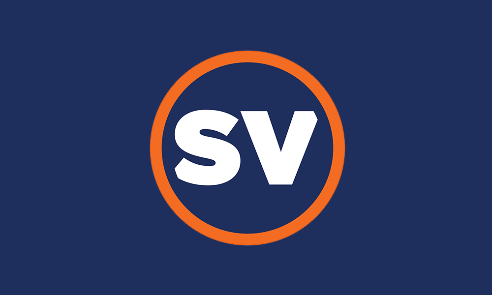 Logo Split~Vision